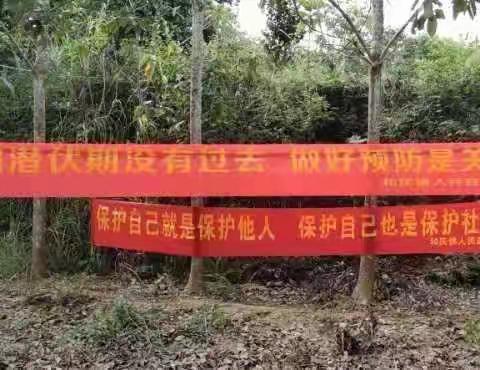 疫情防控，党员先行，木排村党支部深入开展防控工作