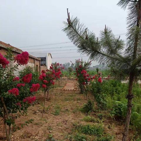 闹店镇火神庙村开展第二季度基层党建“逐支部观摩、整党委推进、全领域提升”活动