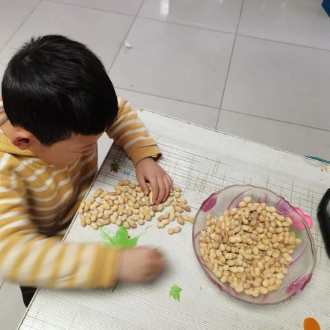 数100            管越聪