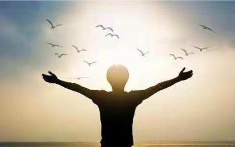 学深练精提素质        融合发展促稽查 ———宝鸡市税务局第一稽查局举办“岗位大练兵、业务大比武”全员培训