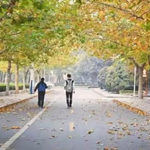 用心托管，快乐学习——文盛路小学三年一班托管服务活动纪实