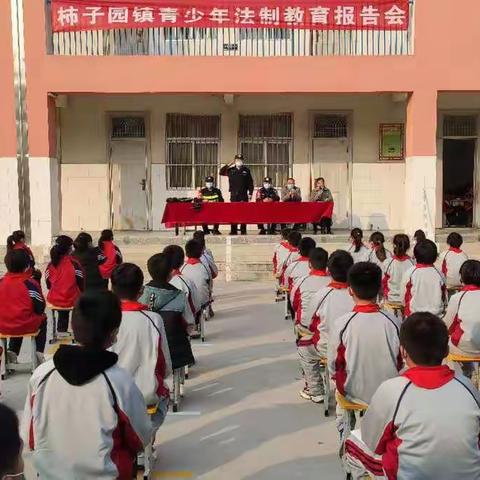 知法懂法    健康成长