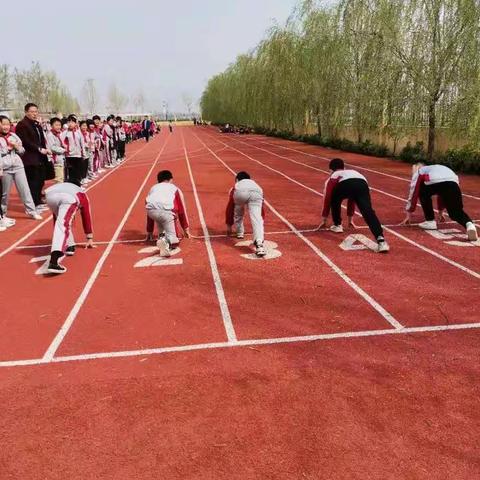 阳光洒满教育路，体育特色展风采