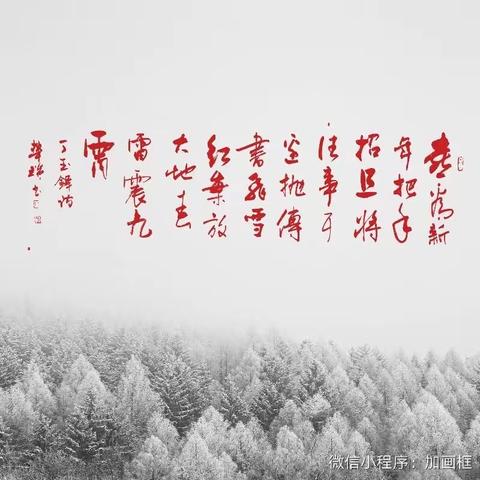 迎新年、展才艺，安达老干部大学书画班师生书画展
