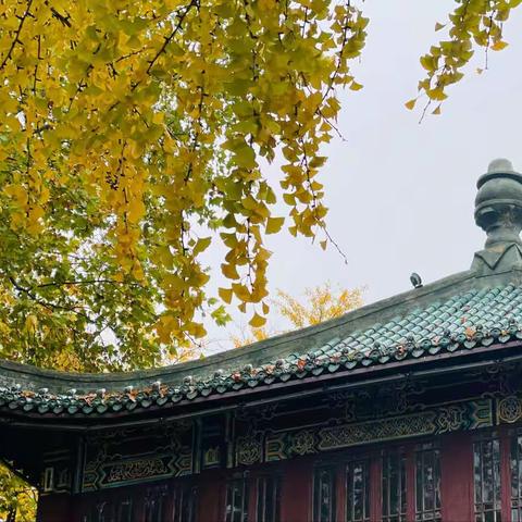 2022.11.19 玄武湖——黄册库