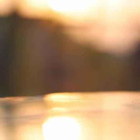 034-春节闲睱在家之一（随拍）