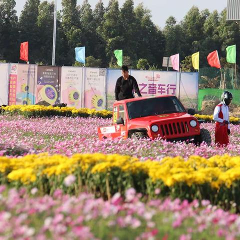 033-春节陪小洺逛花海和玩烟花