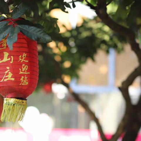 030-雍景山庄（向日葵）