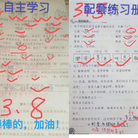 【平邑县小学“线上教学”教师基本功教育教学成果评比】——一切只为“语”见你（作业评改）