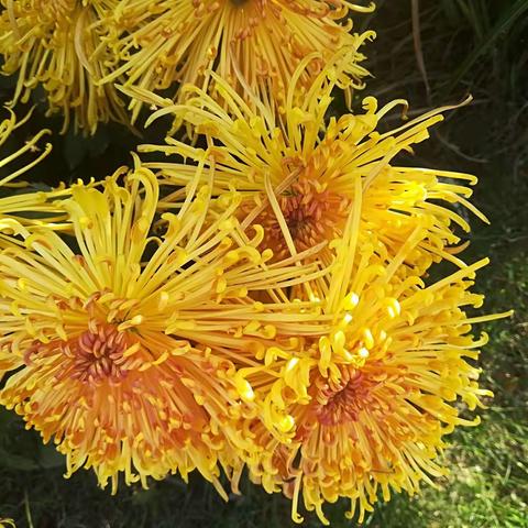 午饭后带娃植物园里溜达 无限美景尽收眼底