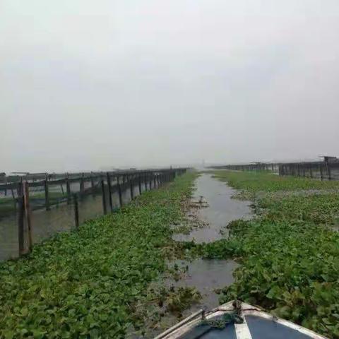 西风起！阳澄湖大闸蟹来袭