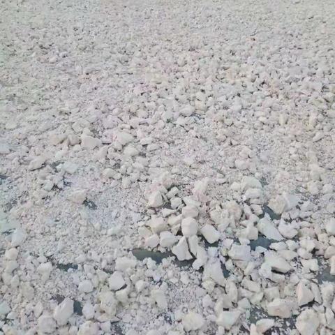 纯绿天然无公害，红薯粉条新“食”代