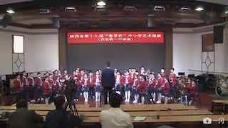 热烈祝贺莲湖区行知小学管乐团在陕西省第十七届“春芽杯”比赛中荣获二等奖