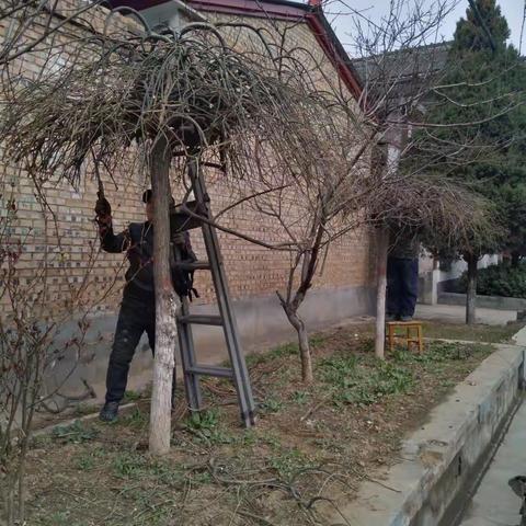 村庄是我家，，美丽靠大家