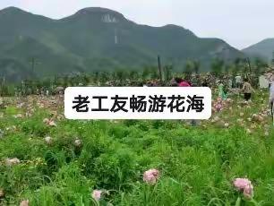 英悦天舒（永不言败）的美篇