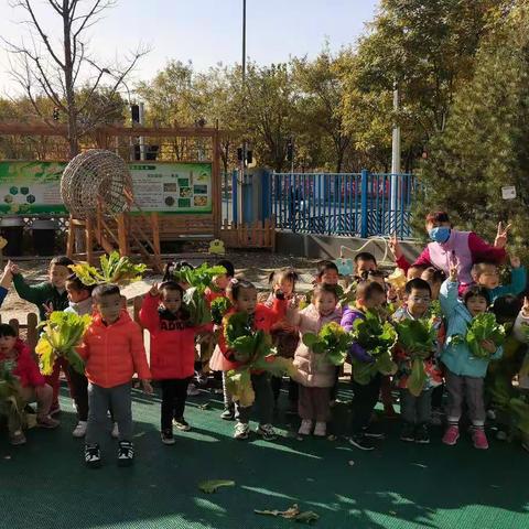 我们又来收白菜啦(✪▽✪)哦(´-ω-`)