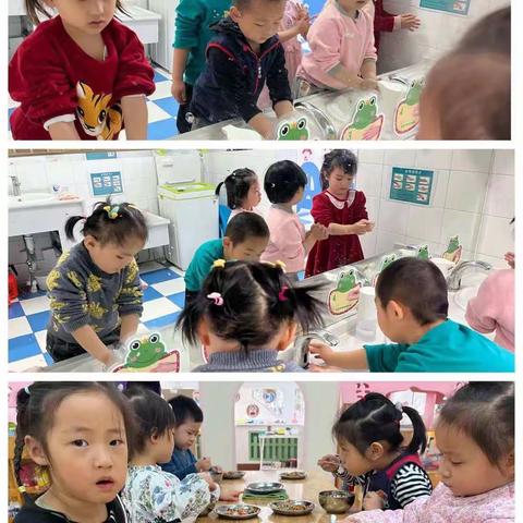 🍀🍀阳春三月🌸🌸