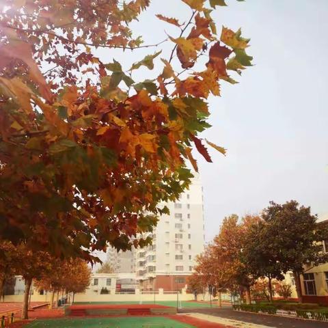 观优质课堂，享数学盛宴——记高密市康成小学观看潍坊优质课活动