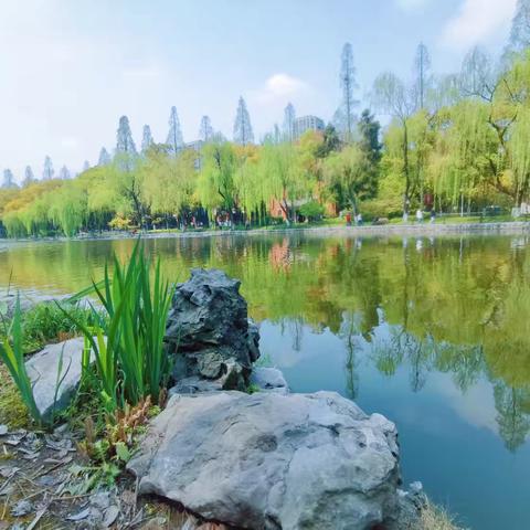 教师四维：气度、深度、风度与温度