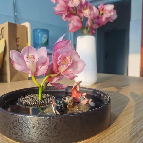 为什么读书