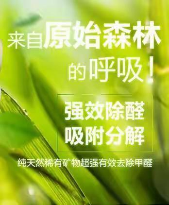 硅藻纯纳米气化蚊蝇净 第六代气化蝇蚊净（副本）