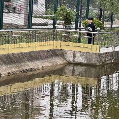 国庆假期趣事——捉螃蟹🦀