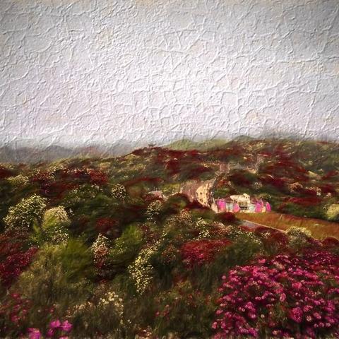 百里杜鹃花