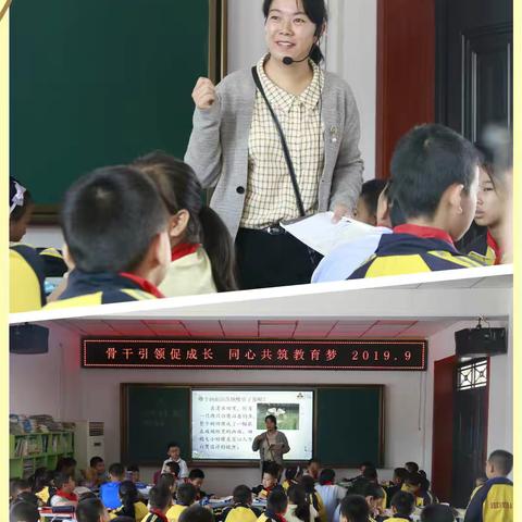骨干引领、博采众长，让成长更有力量—记第八小学骨干教师示范周活动