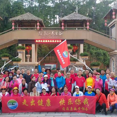 露营徒步  阳光之行  健康生活——通海县徒步协会