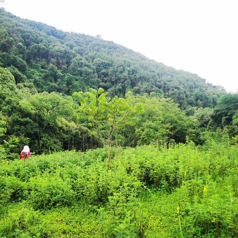 2020年“全民健身日”通海徒步协会系列活动