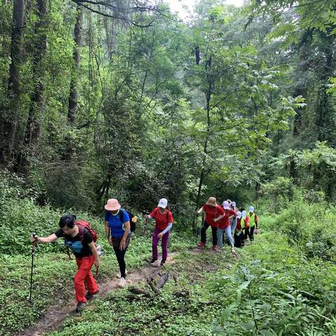 “推动全民健身 助力全面小康”通海县徒步协会户外徒步活动