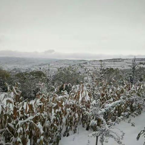 2019年的第一场雪