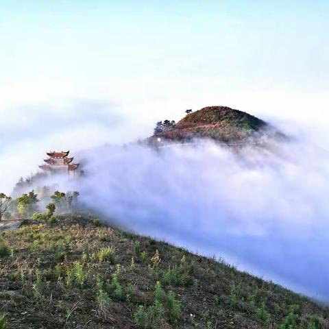 雾中观景