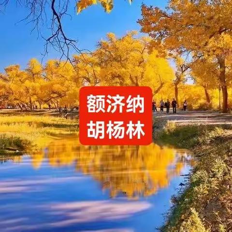 【乐行户外自驾游】2022魅力大西北金秋炫彩额济纳胡杨林西北大环线8日之旅！