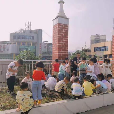 美好的一周结束啦！——雅礼幼儿园中二班