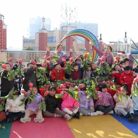 🍂雅礼幼儿园中二班丰收节🍂（萝卜盛宴）