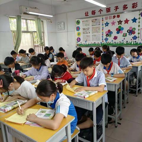 英语书写比赛活动总结