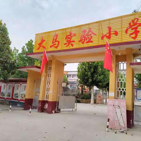 大马镇实验小学“喜迎二十大，奋进新征程”宣传活动