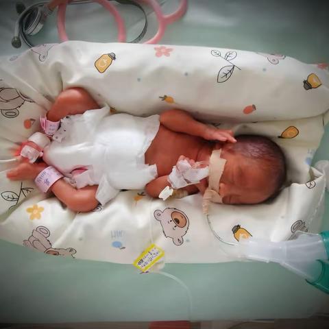 聊城市新生儿专业医疗质量控制中心会议圆满召开