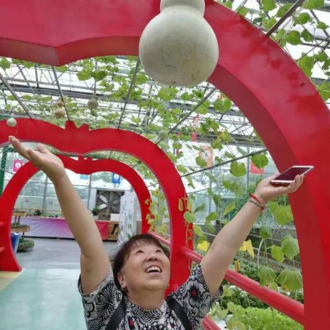 健康游
