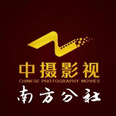 中摄影视 南方分社会刊 第12期 -----2023年2月1日-----