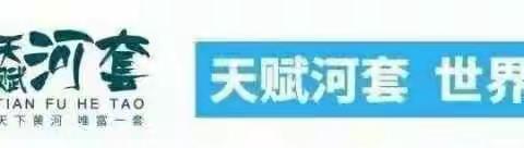 一缕春风沁心脾，一束阳光照心间———临河区“语文主题学习”骨干教师培训心得