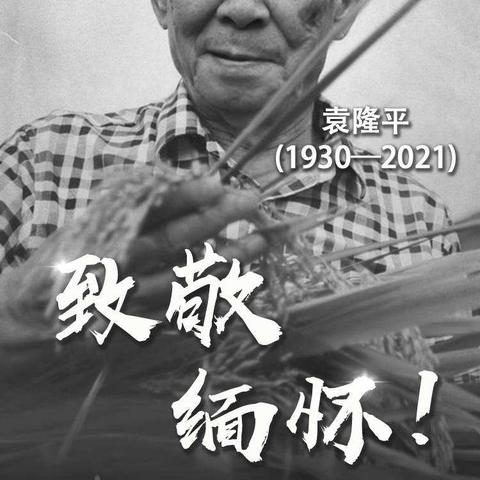 《缅怀杂交水稻之父——袁隆平》桐梓县娄山关街道远航幼儿园主题教育活动