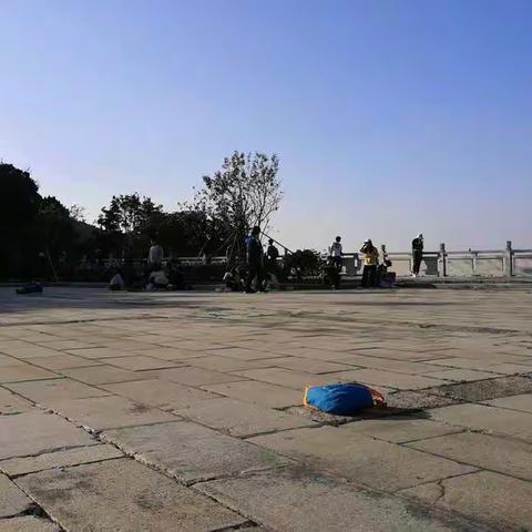 冬日访胜小梧桐