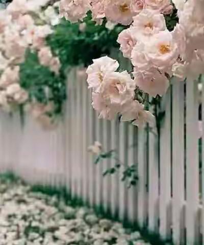 春意盎然，带上愉悦的身心，向阳光出发…