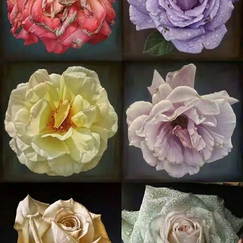 透过屏幕闻花香