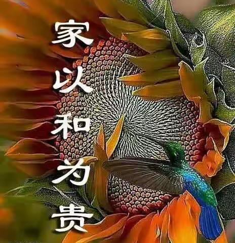 最“贵”言，好好看看。