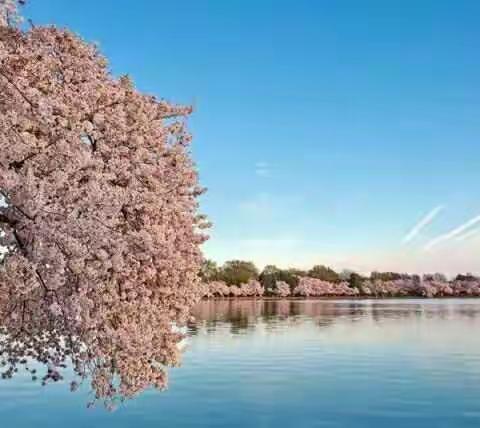 微风徐徐阳光正好，出去走一遭。