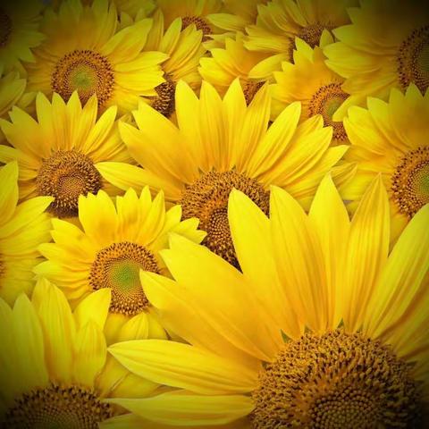 祝老师们小盆友们节日快乐