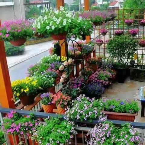 这样的景色好美！